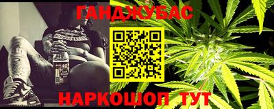 спиды Гай