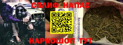 бошки Гагарин