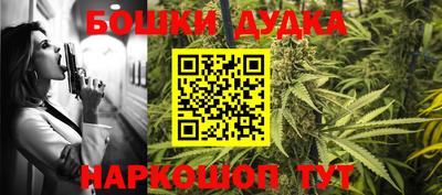 спиды Гай
