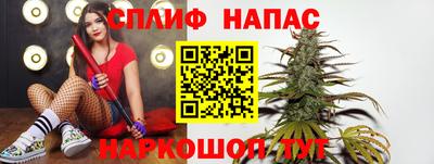 бошки Гагарин