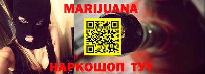 спиды Гай