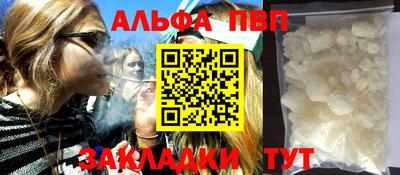 спиды Гай