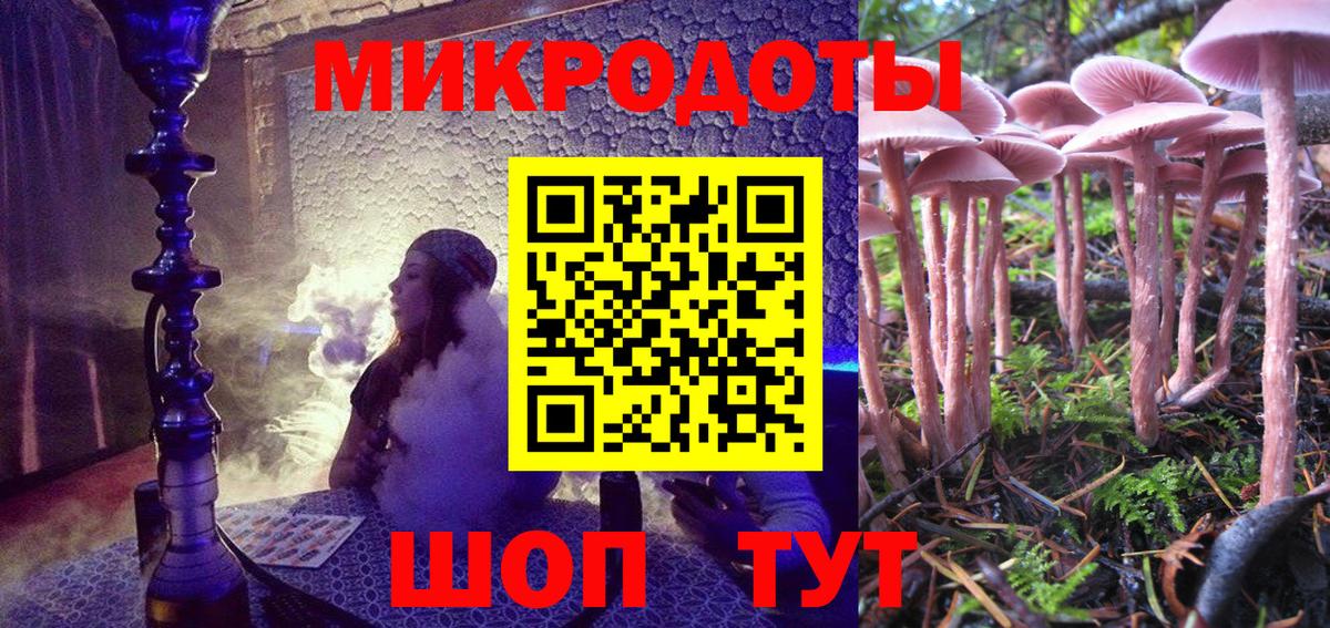 Псилоцибиновые грибы Psilocybine cubensis Сургут